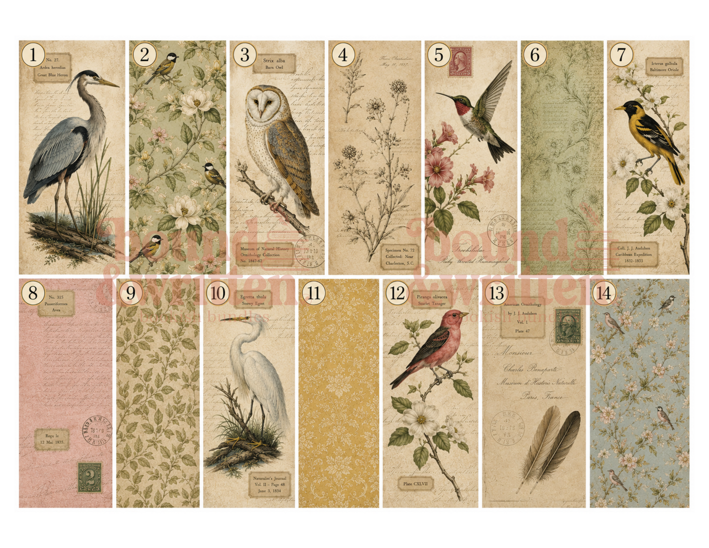 Bird Watching Themed Paper Pack
