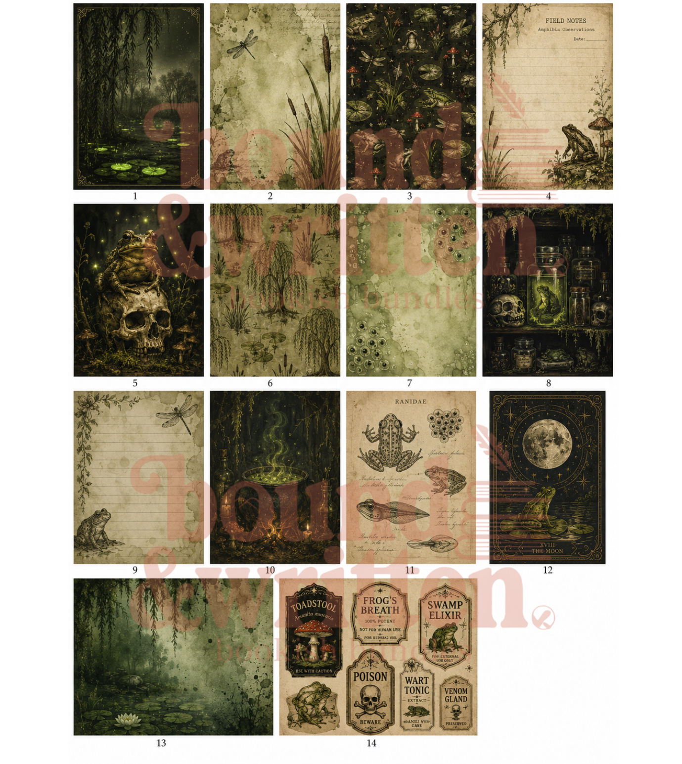 Toads & Toadstools Themed Paper Pack