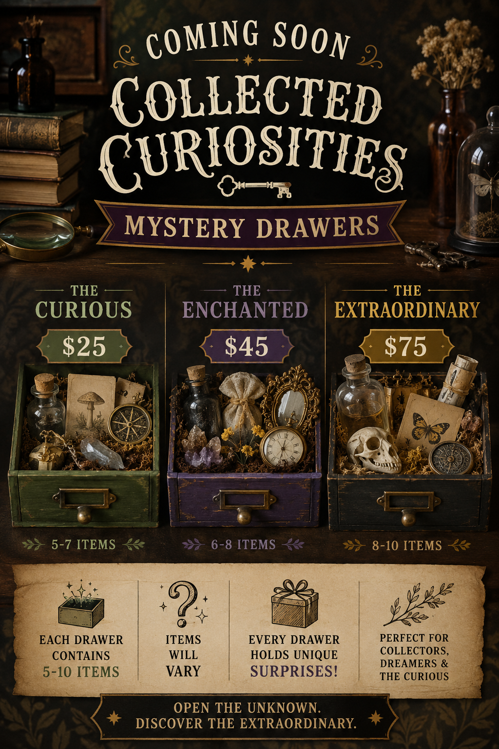 Collected Curiosities Mystery Drawers
