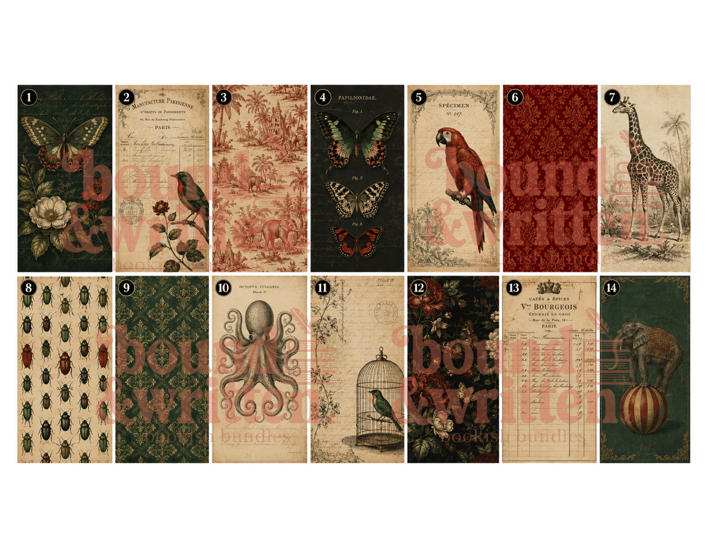 Cabinet of Curiosities Themed Paper Pack
