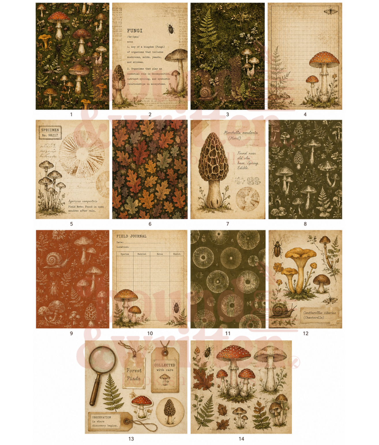 Foraged Fungi Themed Paper Pack