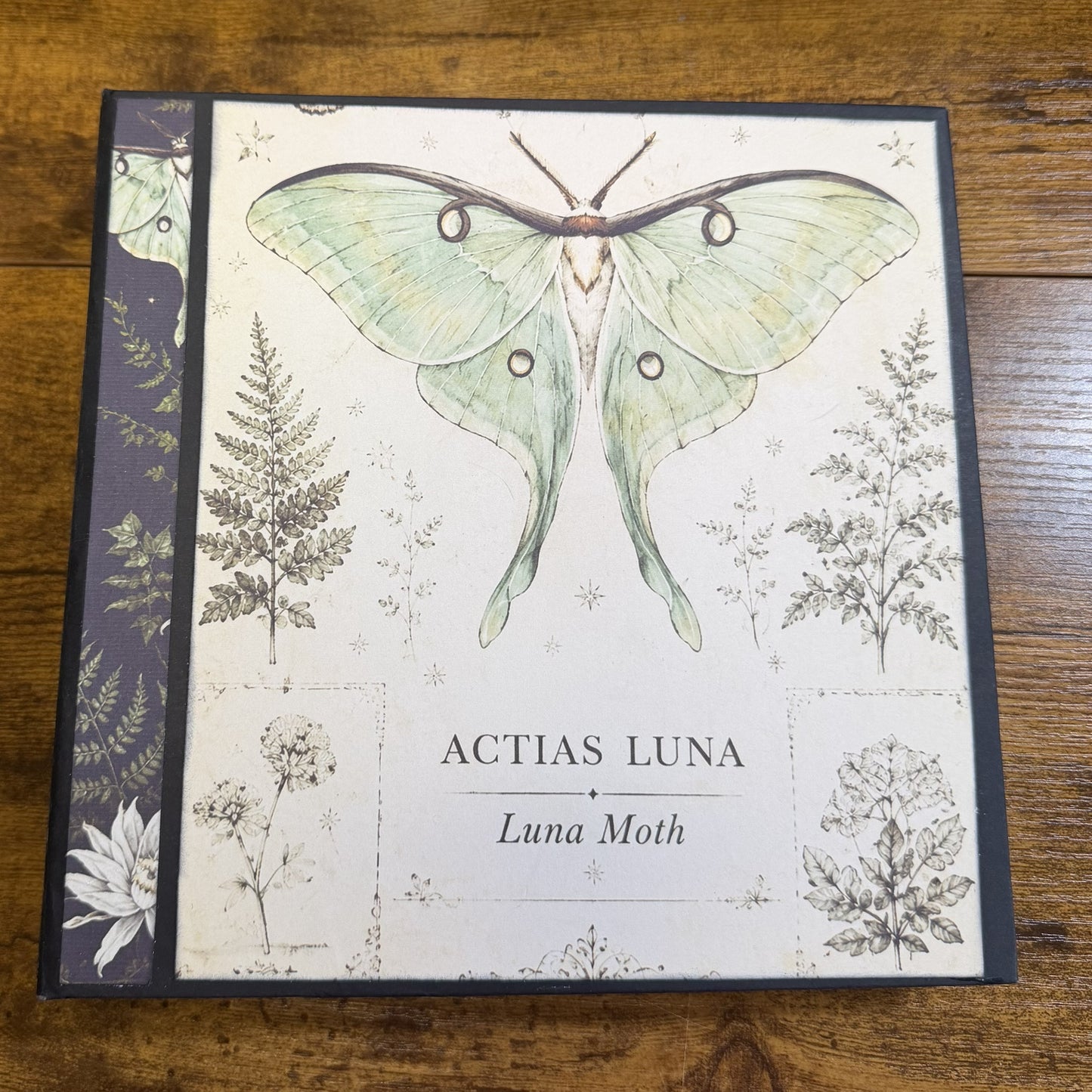Moonlit Moth Mini Album