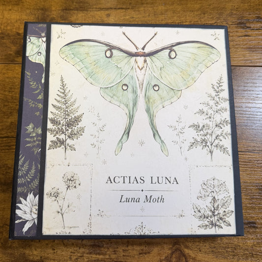 Moonlit Moth Mini Album
