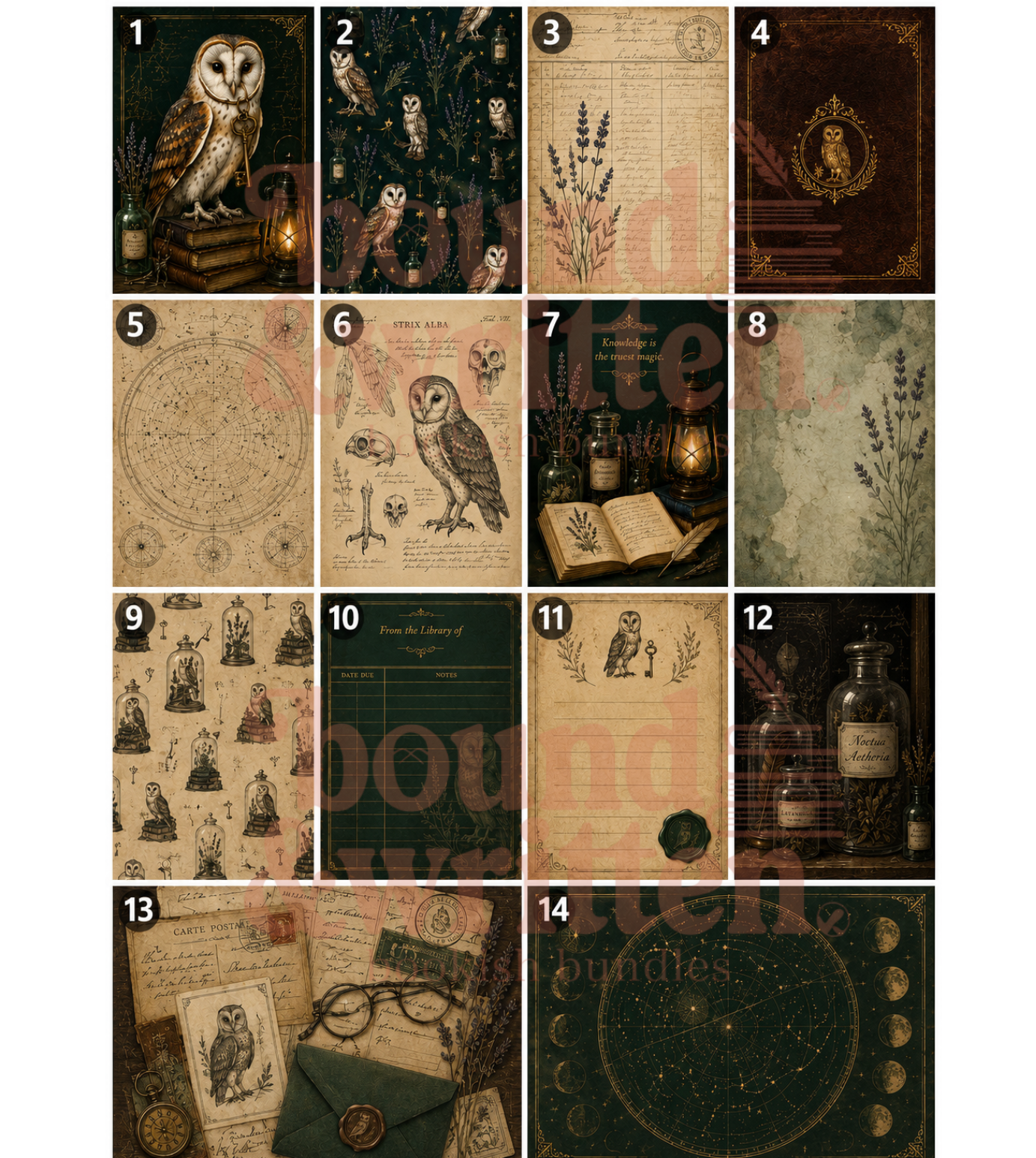 The Owl and the Alchemist Themed Paper Pack